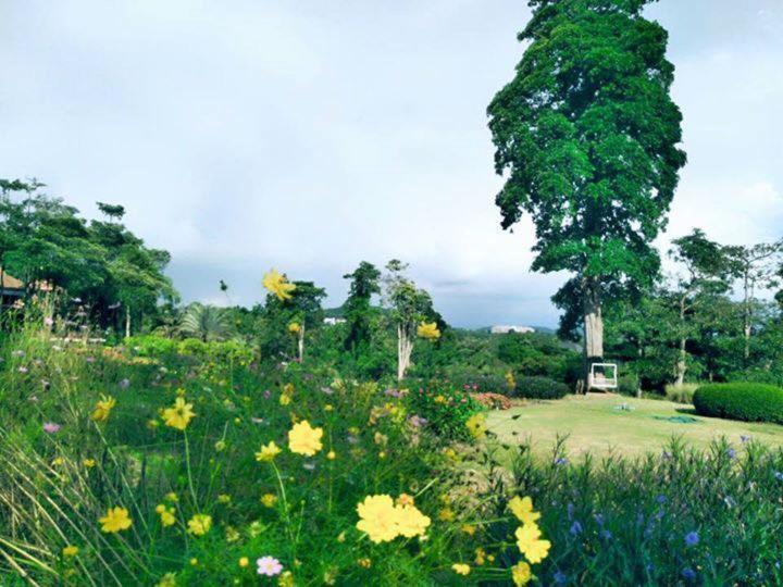 Arayana Phupimarn Resort & Spa Pakchong Exterior photo