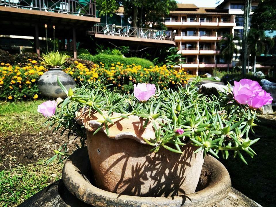 Arayana Phupimarn Resort & Spa Pakchong Exterior photo